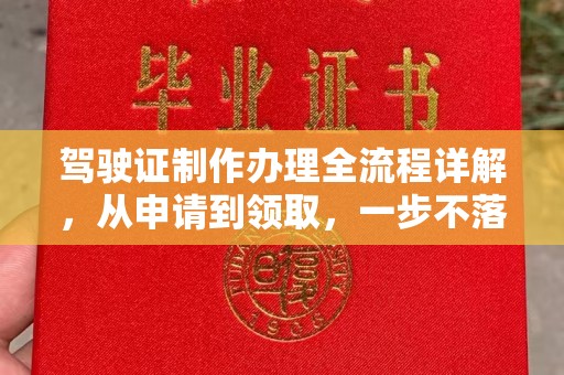芦淞驾驶证制作办理全流程详解，从申请到领取，一步不落
